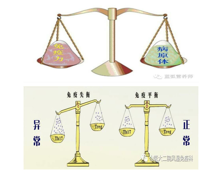 5f5f2d308f454.png