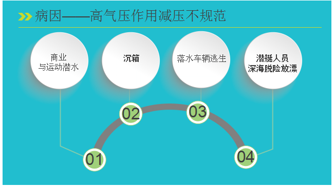 5f5f306c826eb.png