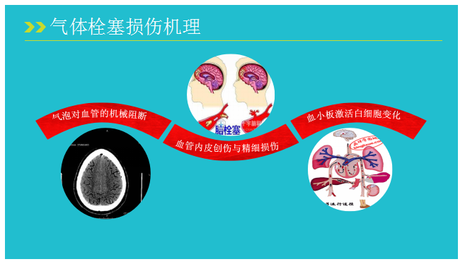 5f5f3075b6454.png